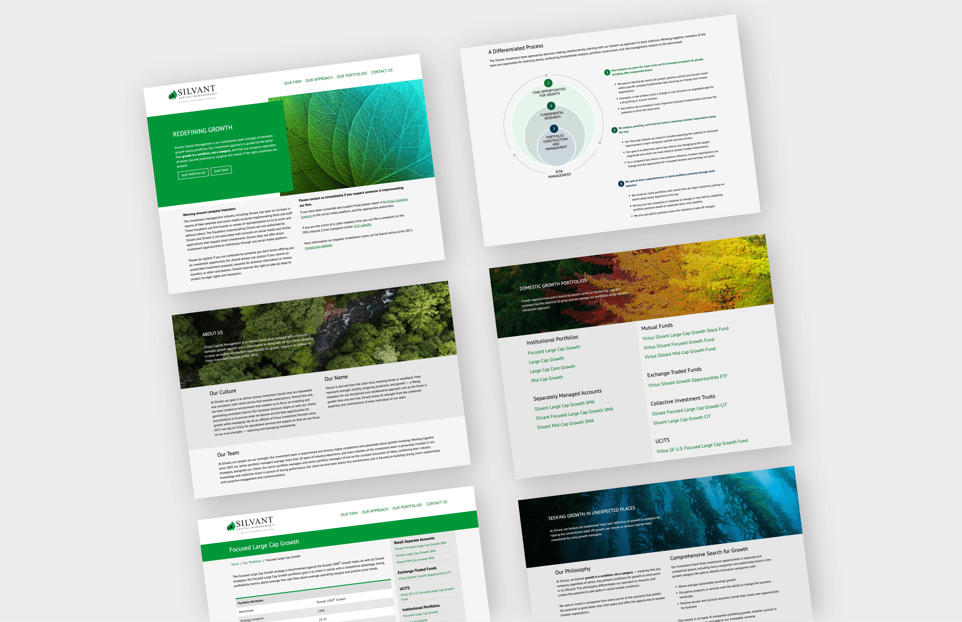Financial Site Design preview